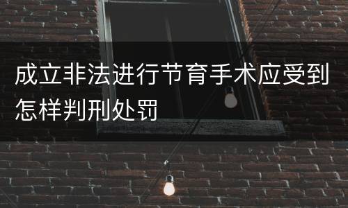 成立非法进行节育手术应受到怎样判刑处罚