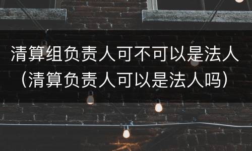 清算组负责人可不可以是法人（清算负责人可以是法人吗）