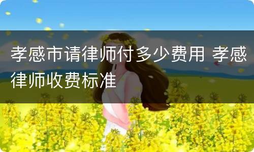 孝感市请律师付多少费用 孝感律师收费标准