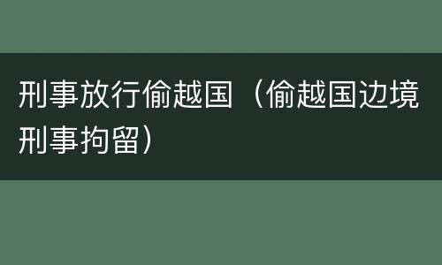 刑事放行偷越国（偷越国边境刑事拘留）