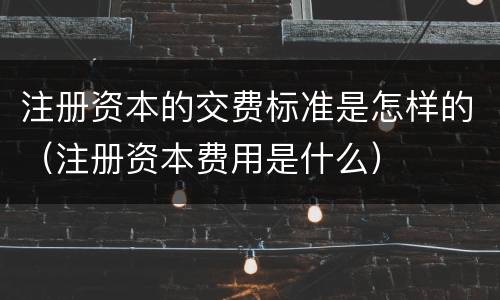 注册资本的交费标准是怎样的（注册资本费用是什么）