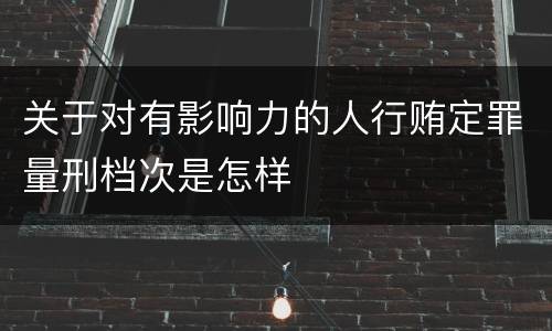 关于对有影响力的人行贿定罪量刑档次是怎样