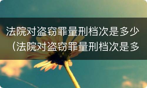 法院对盗窃罪量刑档次是多少（法院对盗窃罪量刑档次是多少呢）