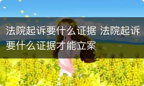 法院起诉要什么证据 法院起诉要什么证据才能立案