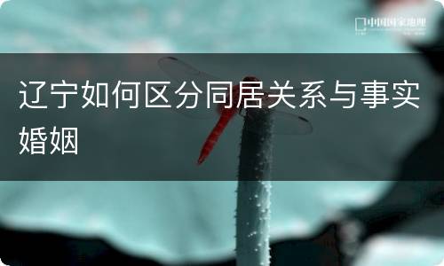 辽宁如何区分同居关系与事实婚姻
