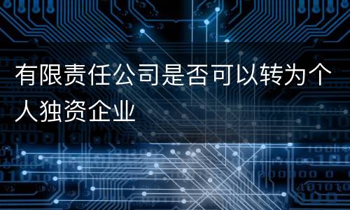 有限责任公司是否可以转为个人独资企业