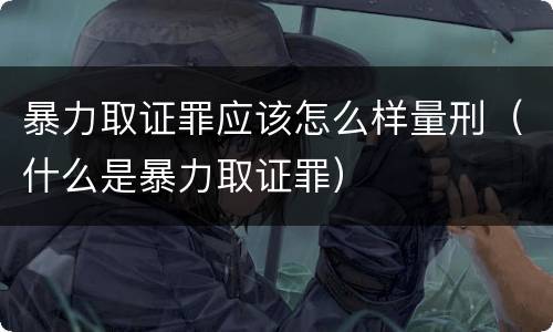 暴力取证罪应该怎么样量刑（什么是暴力取证罪）