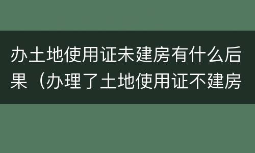 办土地使用证未建房有什么后果（办理了土地使用证不建房子可以吗）