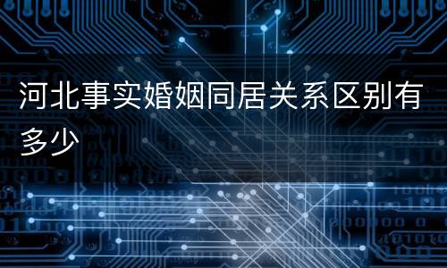 河北事实婚姻同居关系区别有多少