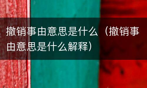 撤销事由意思是什么（撤销事由意思是什么解释）