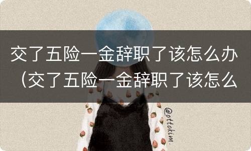 交了五险一金辞职了该怎么办（交了五险一金辞职了该怎么办呢）