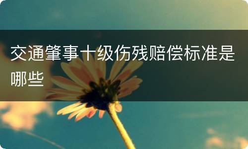 交通肇事十级伤残赔偿标准是哪些