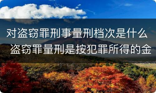 对盗窃罪刑事量刑档次是什么 盗窃罪量刑是按犯罪所得的金额量刑吗