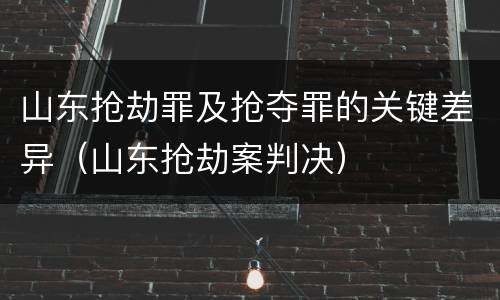 山东抢劫罪及抢夺罪的关键差异（山东抢劫案判决）