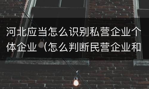 河北应当怎么识别私营企业个体企业（怎么判断民营企业和私营企业）