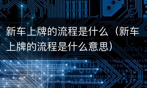 新车上牌的流程是什么（新车上牌的流程是什么意思）