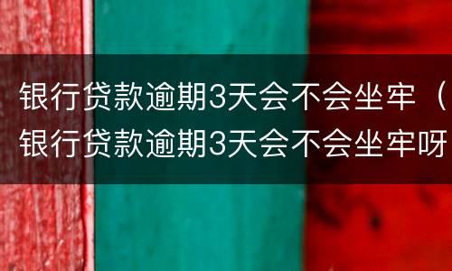 银行贷款逾期3天会不会坐牢（银行贷款逾期3天会不会坐牢呀）