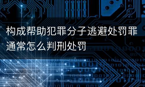构成帮助犯罪分子逃避处罚罪通常怎么判刑处罚
