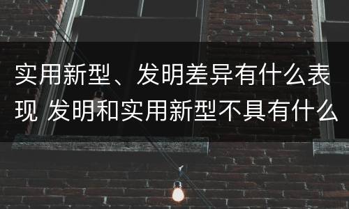 实用新型、发明差异有什么表现 发明和实用新型不具有什么特性