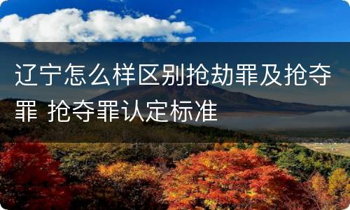 辽宁怎么样区别抢劫罪及抢夺罪 抢夺罪认定标准