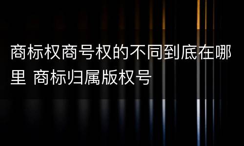 商标权商号权的不同到底在哪里 商标归属版权号