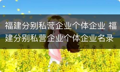福建分别私营企业个体企业 福建分别私营企业个体企业名录