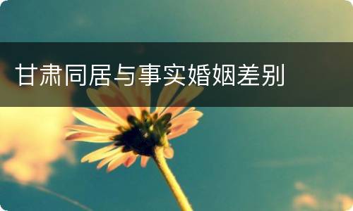 甘肃同居与事实婚姻差别