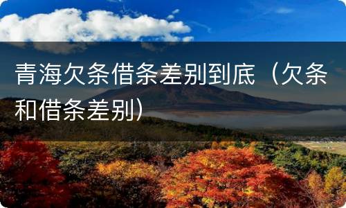 青海欠条借条差别到底（欠条和借条差别）
