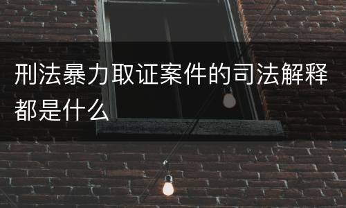 刑法暴力取证案件的司法解释都是什么