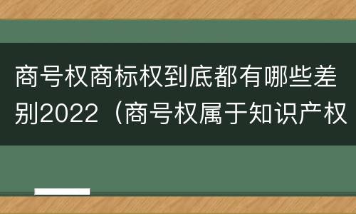 商号权商标权到底都有哪些差别2022（商号权属于知识产权吗）