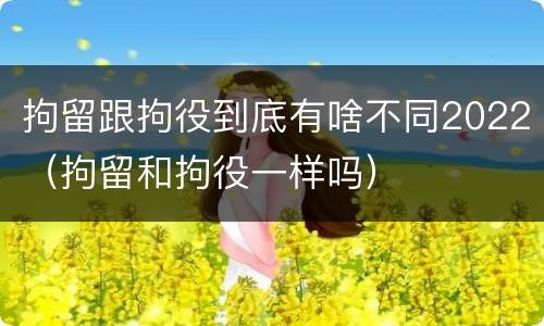 拘留跟拘役到底有啥不同2022（拘留和拘役一样吗）
