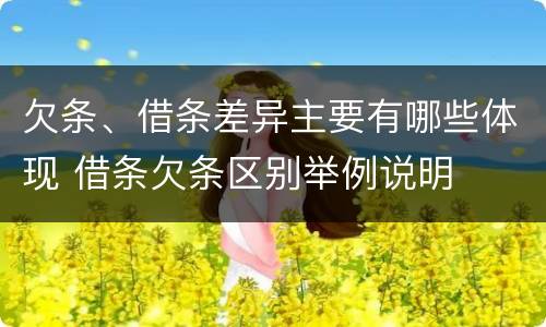 欠条、借条差异主要有哪些体现 借条欠条区别举例说明