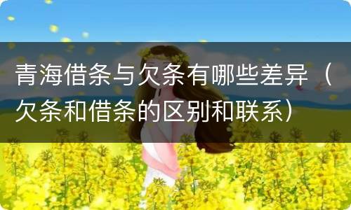 青海借条与欠条有哪些差异（欠条和借条的区别和联系）