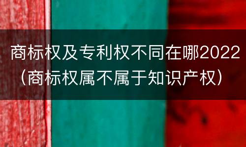 商标权及专利权不同在哪2022（商标权属不属于知识产权）