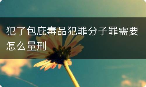 犯了包庇毒品犯罪分子罪需要怎么量刑