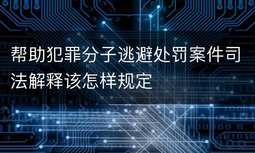 帮助犯罪分子逃避处罚案件司法解释该怎样规定