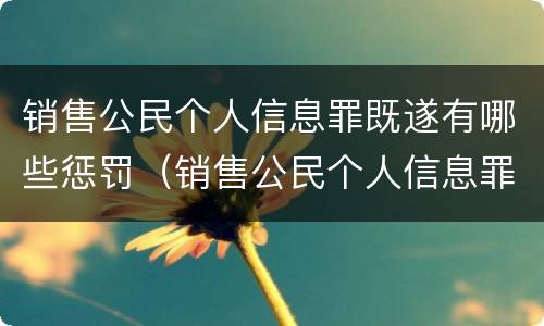 销售公民个人信息罪既遂有哪些惩罚（销售公民个人信息罪既遂有哪些惩罚措施）