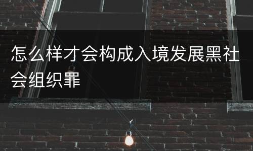 怎么样才会构成入境发展黑社会组织罪