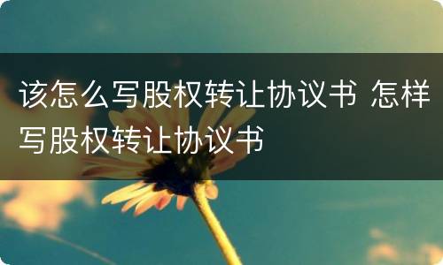 该怎么写股权转让协议书 怎样写股权转让协议书