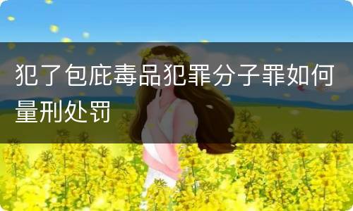 犯了包庇毒品犯罪分子罪如何量刑处罚