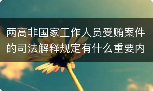 两高非国家工作人员受贿案件的司法解释规定有什么重要内容
