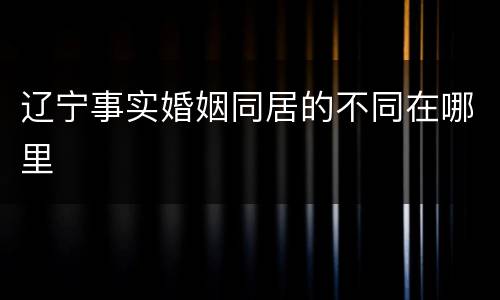 辽宁事实婚姻同居的不同在哪里