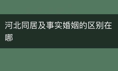 河北同居及事实婚姻的区别在哪