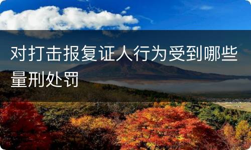 对打击报复证人行为受到哪些量刑处罚