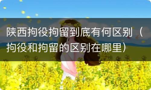 陕西拘役拘留到底有何区别（拘役和拘留的区别在哪里）