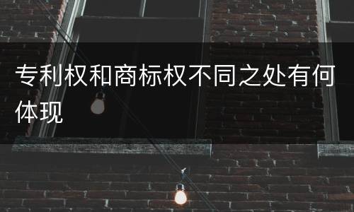 专利权和商标权不同之处有何体现