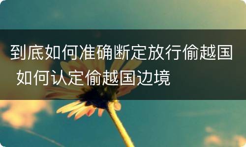 到底如何准确断定放行偷越国 如何认定偷越国边境