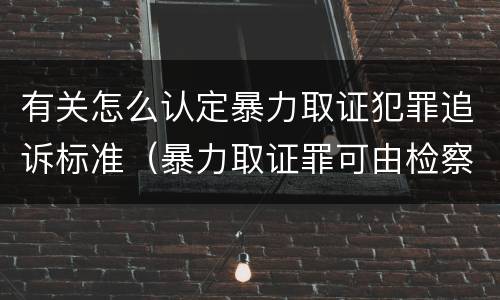有关怎么认定暴力取证犯罪追诉标准（暴力取证罪可由检察院立案侦查）