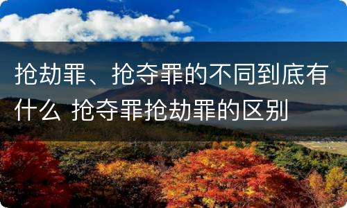 抢劫罪、抢夺罪的不同到底有什么 抢夺罪抢劫罪的区别