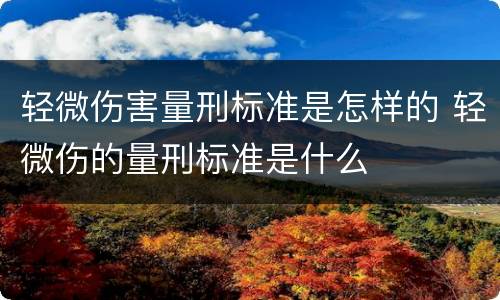 轻微伤害量刑标准是怎样的 轻微伤的量刑标准是什么
